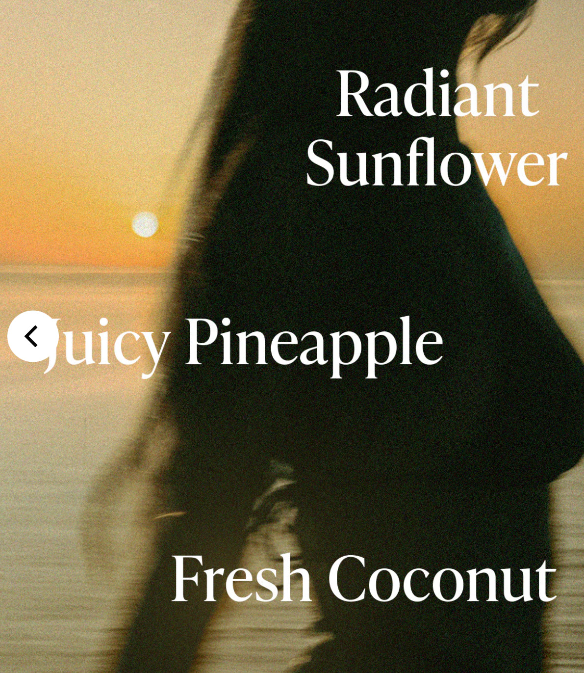 Pre-orden: Saltair | Shimmering Body Oil