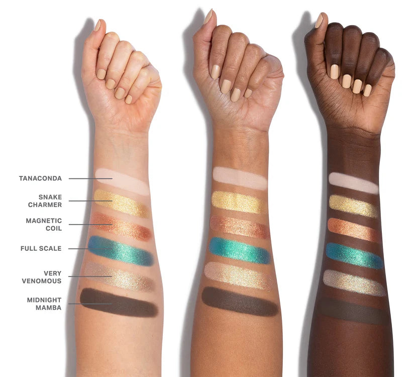 Pre-order: MORPHE | ChromaPlus 6-Pan Eyeshadow Palette