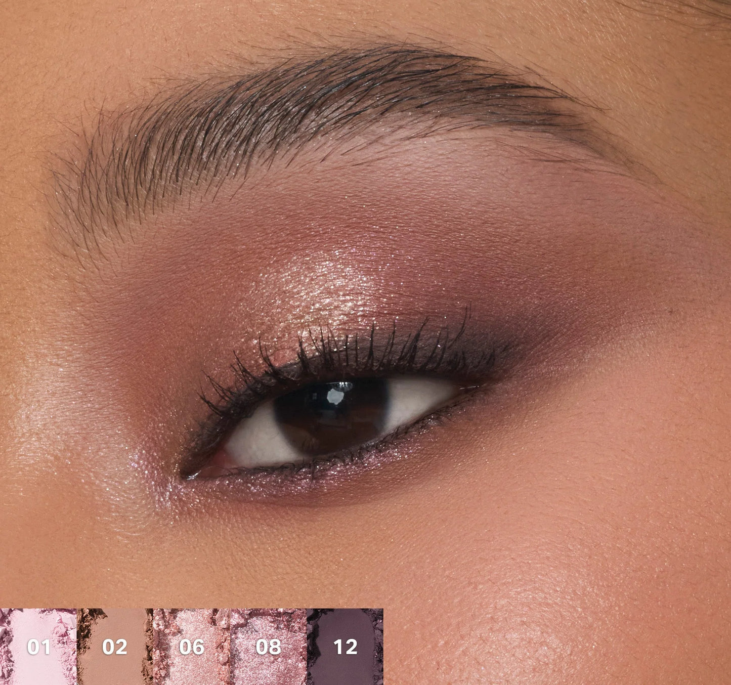 Pre-order: MORPHE | ChromaPlus 12-Pan Eyeshadow Palette