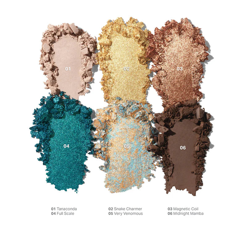 Pre-order: MORPHE | ChromaPlus 6-Pan Eyeshadow Palette