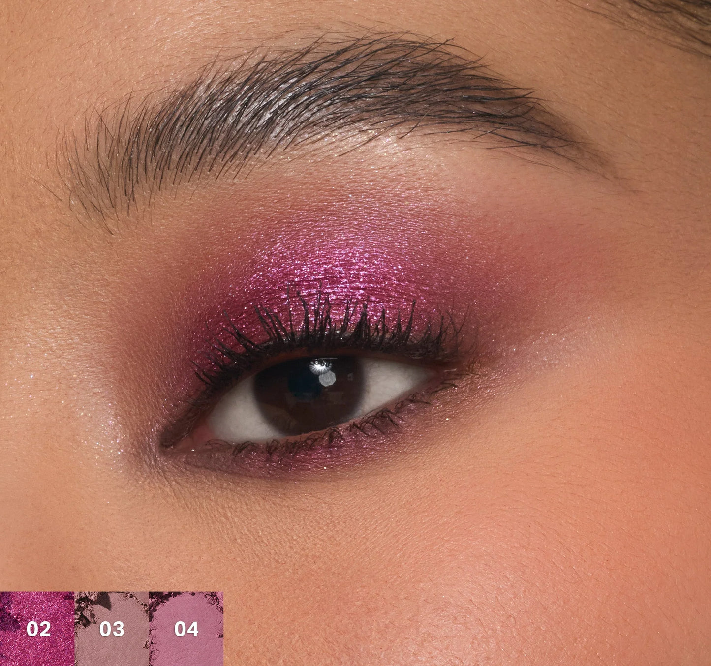 Pre-order: MORPHE | ChromaPlus 6-Pan Eyeshadow Palette