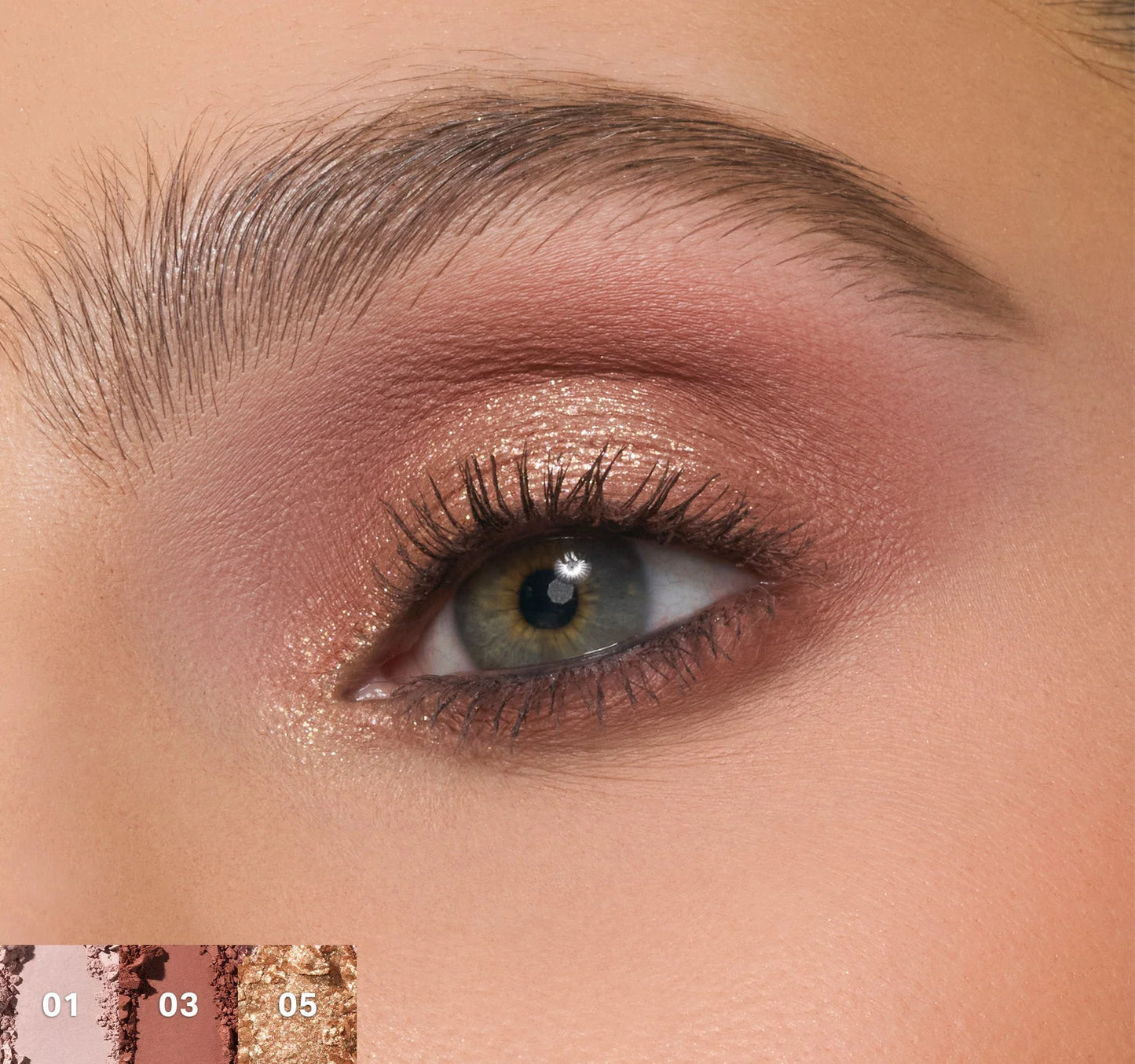 Pre-order: MORPHE | ChromaPlus 6-Pan Eyeshadow Palette