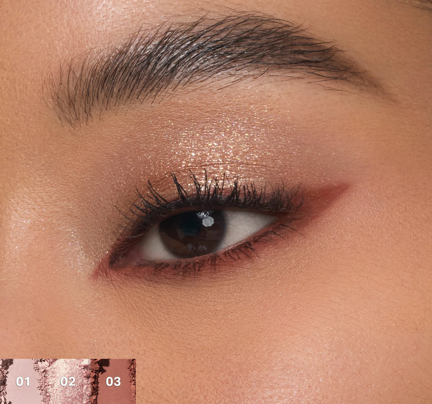 Pre-order: MORPHE | ChromaPlus 6-Pan Eyeshadow Palette