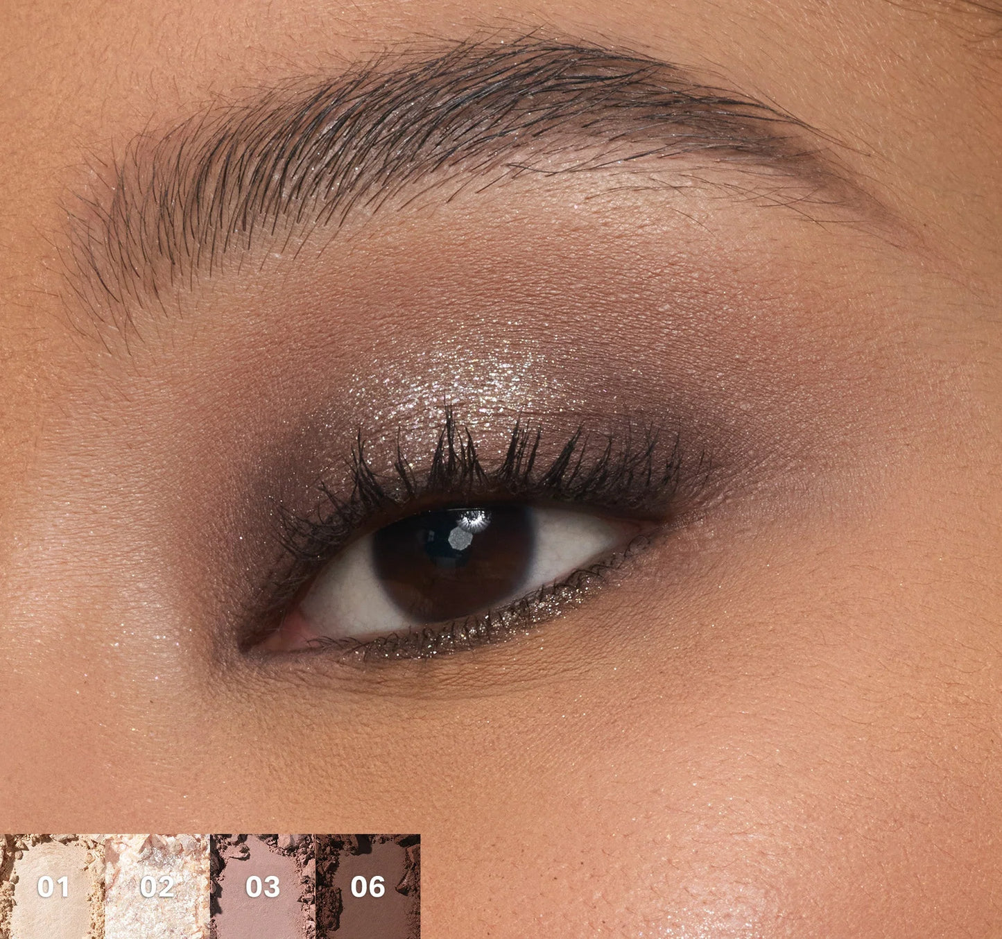 Pre-order: MORPHE | ChromaPlus 6-Pan Eyeshadow Palette