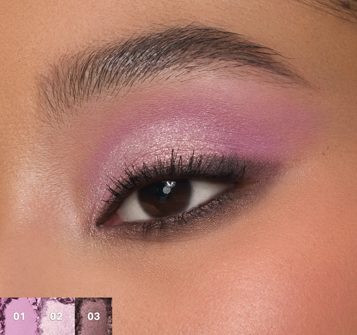 Pre-order: MORPHE | ChromaPlus 6-Pan Eyeshadow Palette