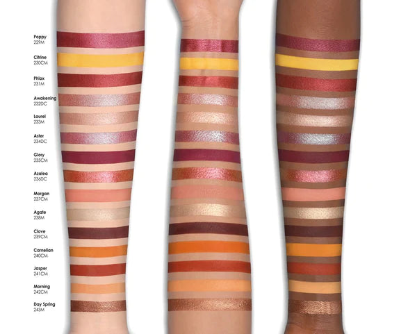 Natasha Denona | Eyeshadow Palette | Sunrise