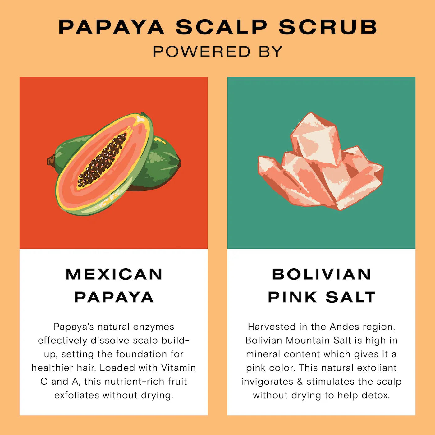 Pre orden: Ceremonia | Papaya Scalp Scrub Shampoo