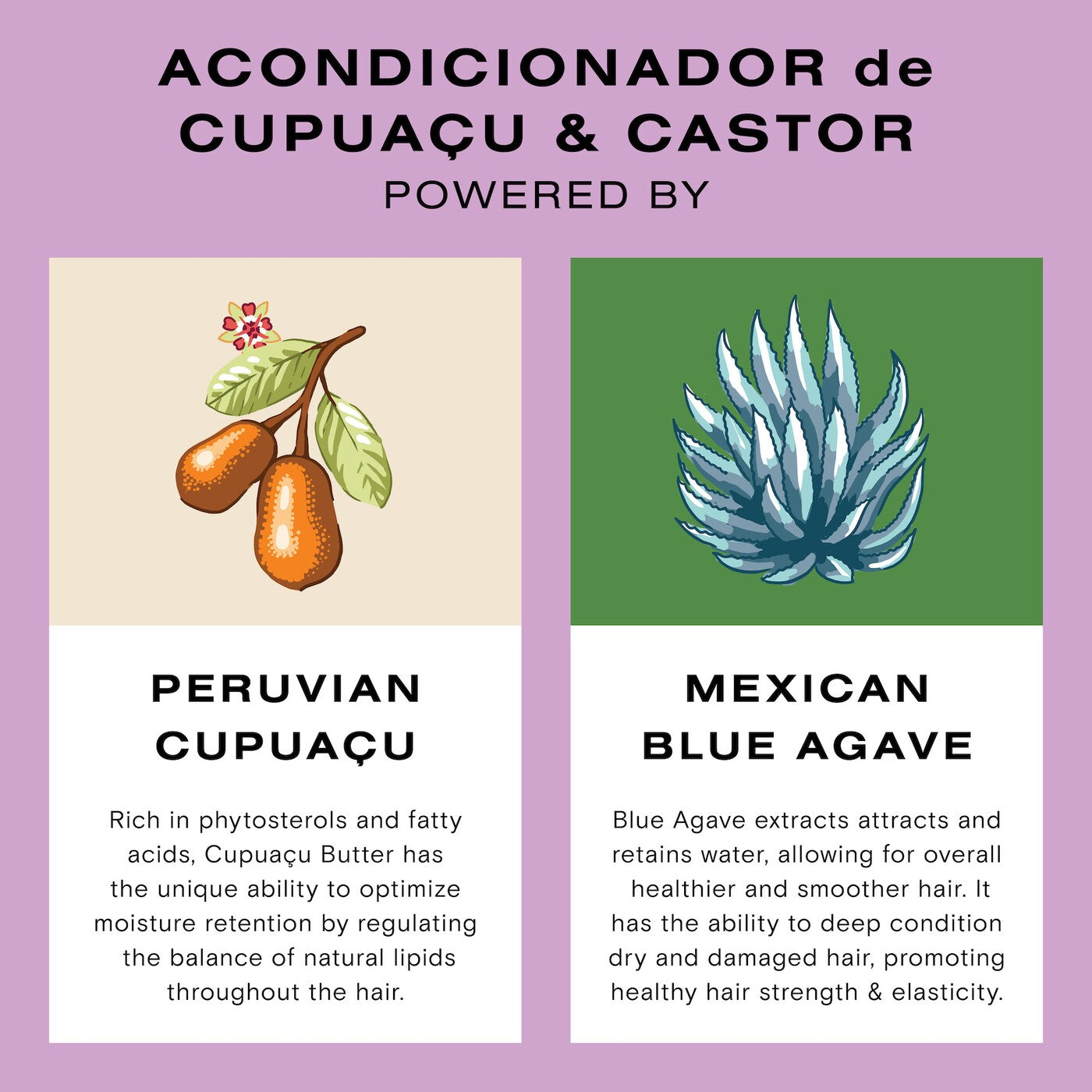 Pre orden: Ceremonia | Cupuaçu & Castor Deep Hydrating Conditioner