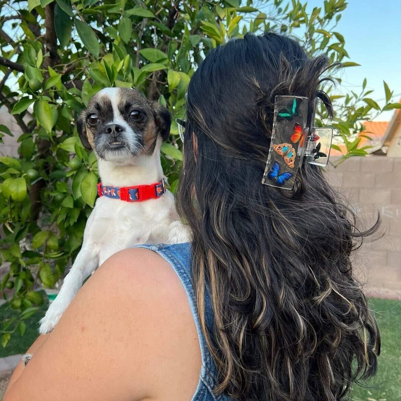 Pre orden: Chunks | Medium Box Hair Claw Clip