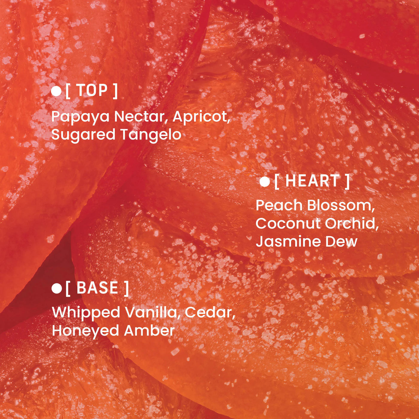 Pre-order: PHLUR | Vanilla Nectar Body & Hair Fragrance Mist