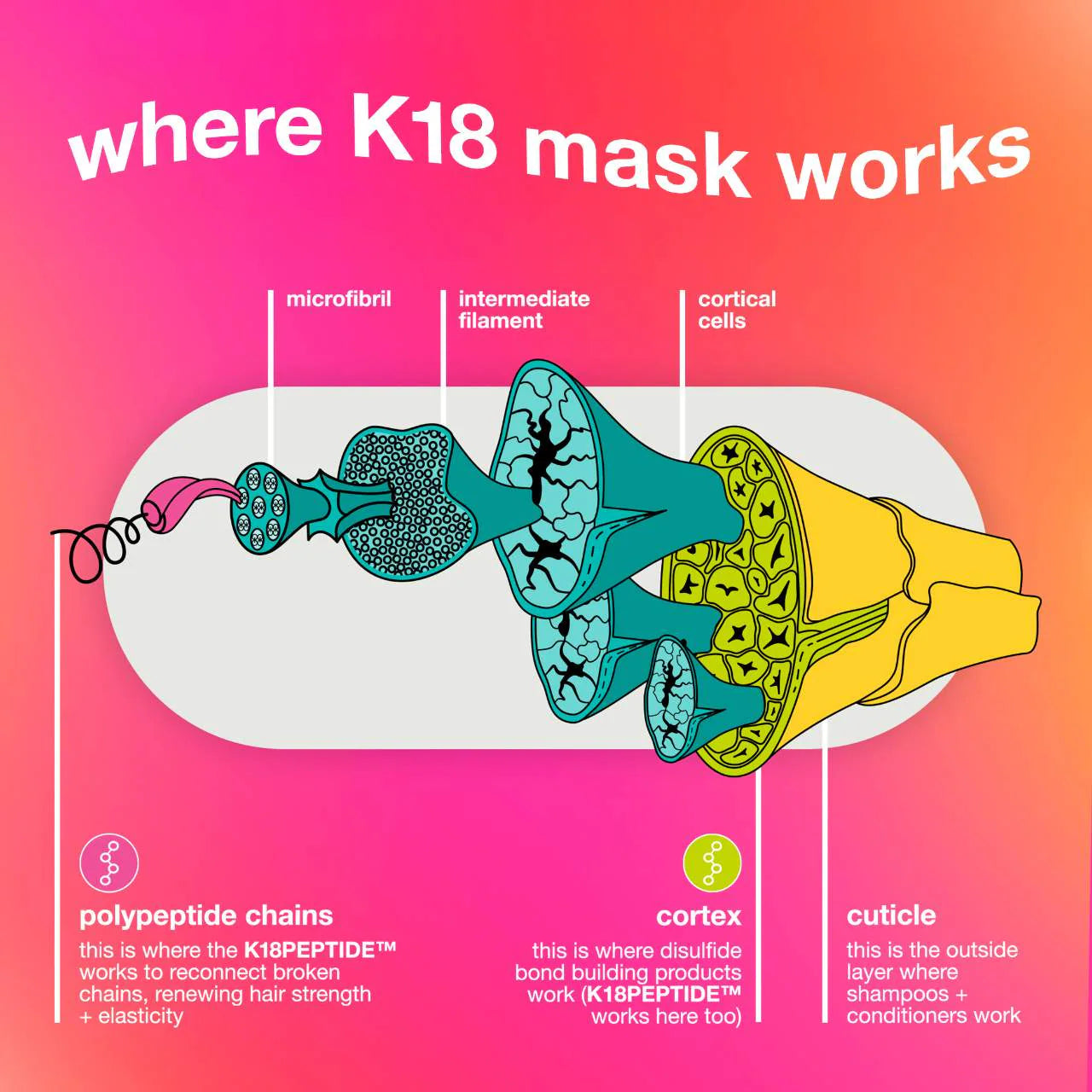 Pre orden: K18 Biomimetic Hairscience | Repair + Protect Minis Kit