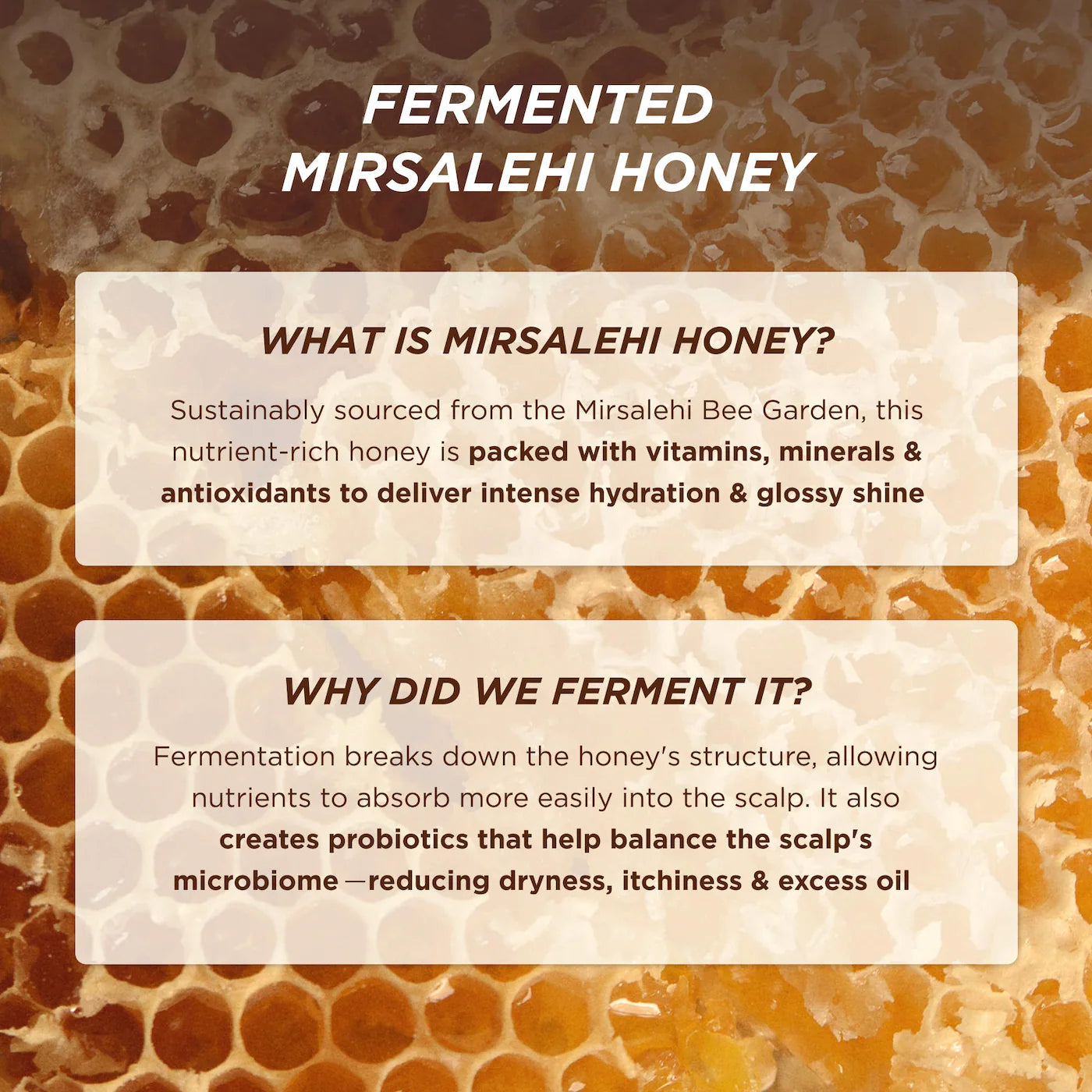 Pre-order: Gisou | Honey Gloss Ceramide Therapy Hydrating Conditioner