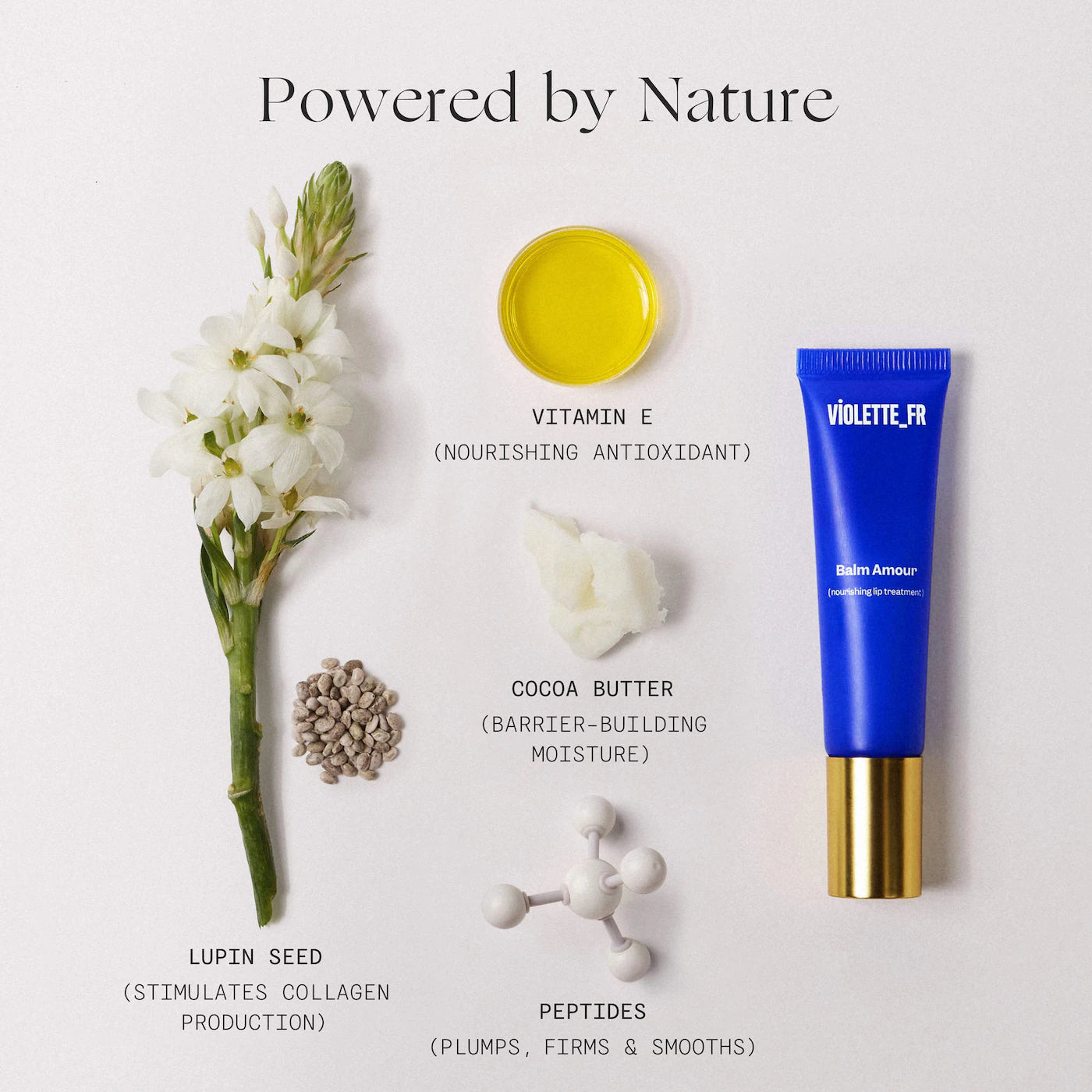 Pre-orden:VIOLETTE_FR | BALM AMOUR Nourishing Lip Treatment with Peptides