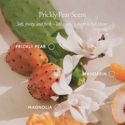 Pre-orden: Dae | Prickly pear hair oil