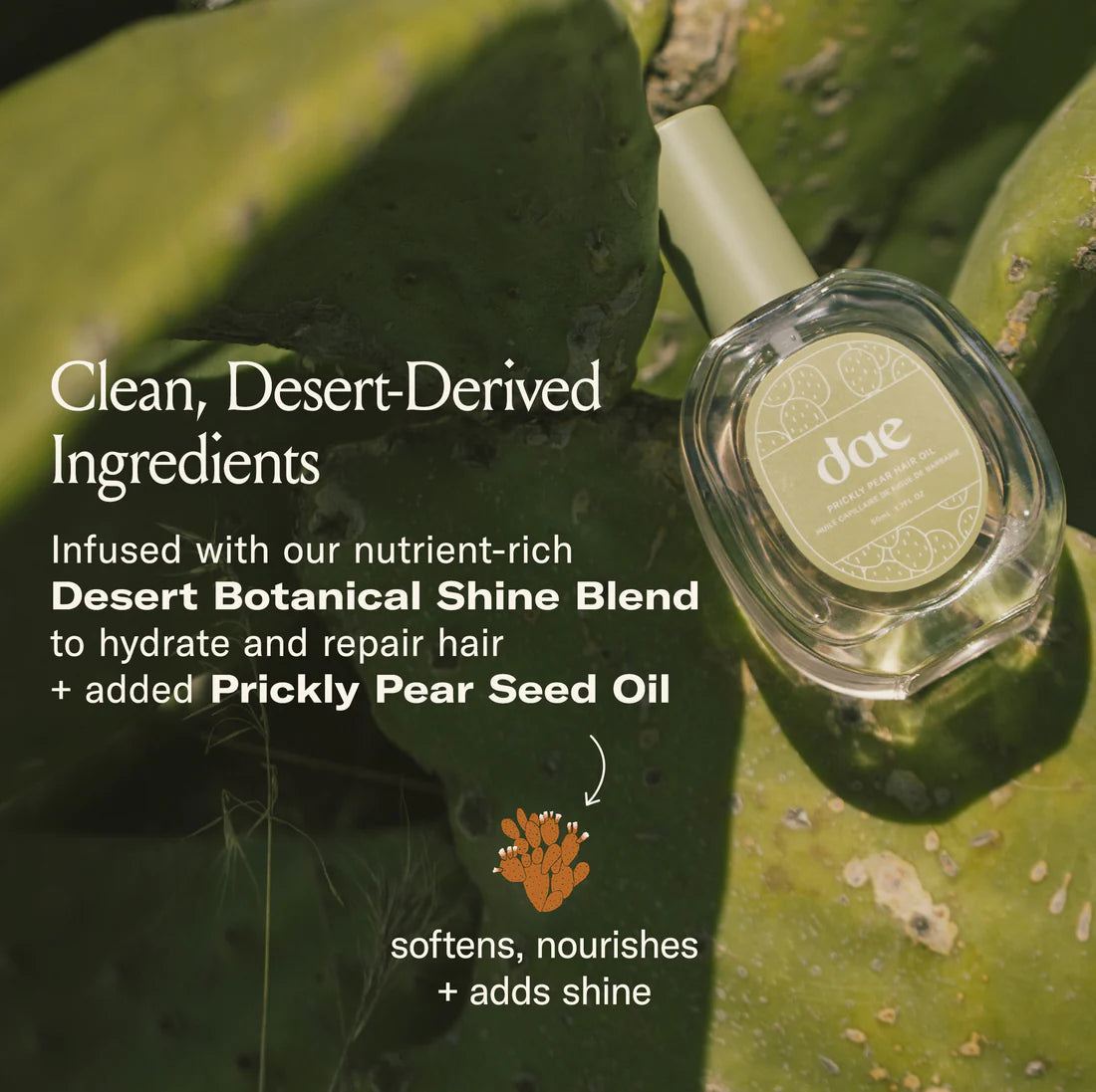 Pre-orden: Dae | Prickly pear hair oil