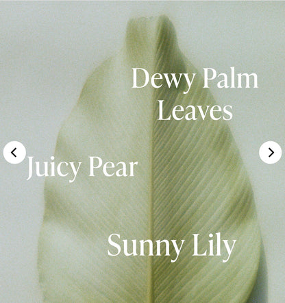 Saltair | Lush Greens SERUM BODY WASH