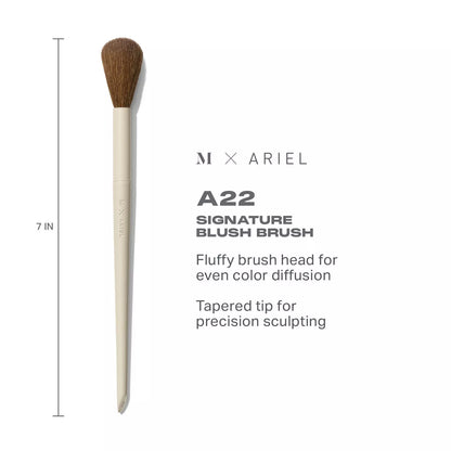 Pre orden: Morphe X Ariel A22 | Signature Blush Brush