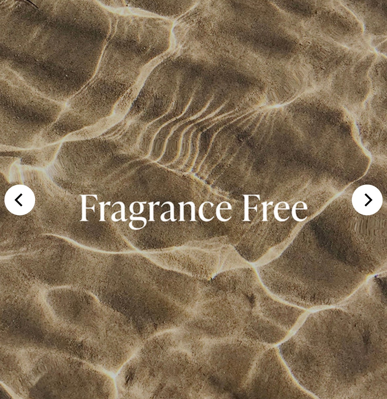 Saltair | Fragrance Free BODY LOTION