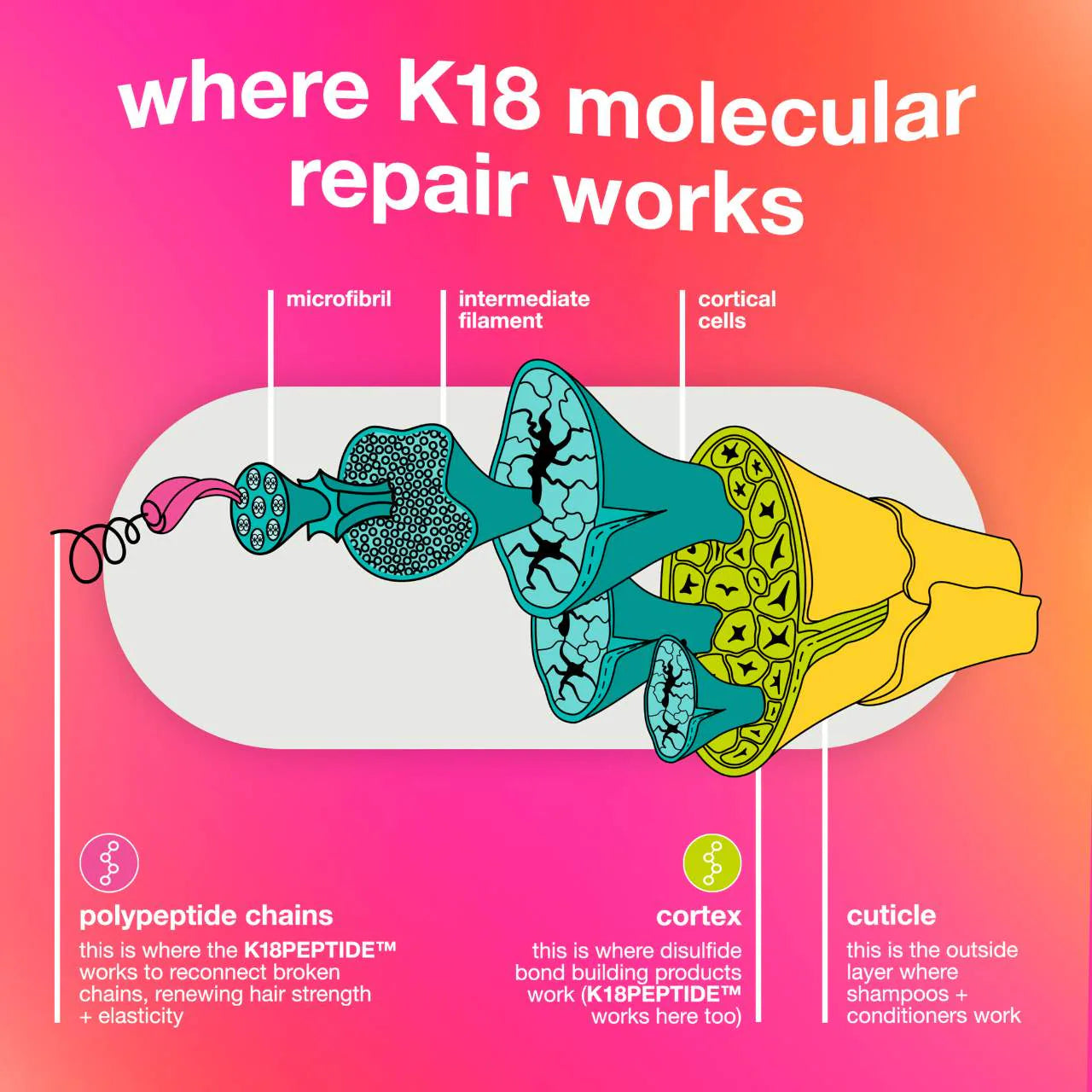 Pre Venta: K18 Biomimetic Hairscience | Repair + Protect Mini's Hair Set