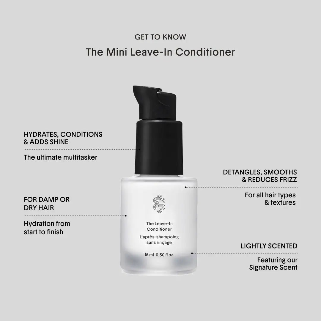 Pre-orden: Crown Affair | The Mini Air Dry Hair Set