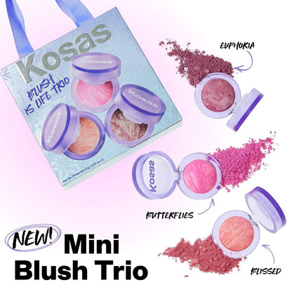 Kosas | Mini Blush is Life Trio