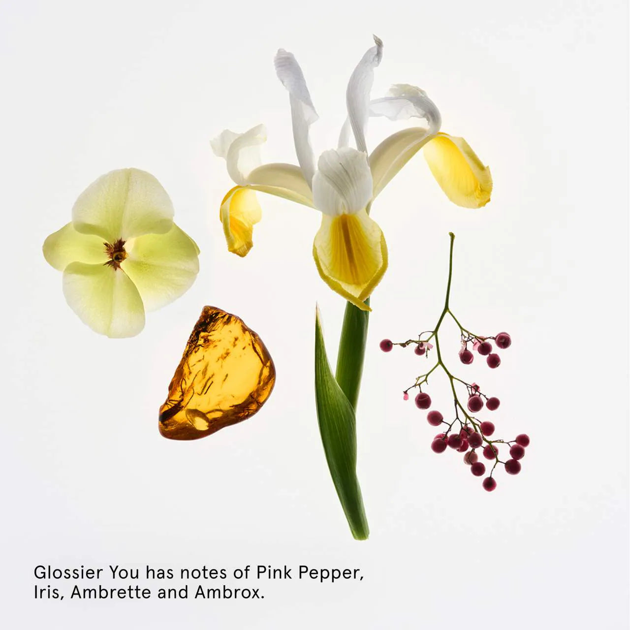 Pre-orden: Glossier | Refillable Aluminum-Free Deodorant