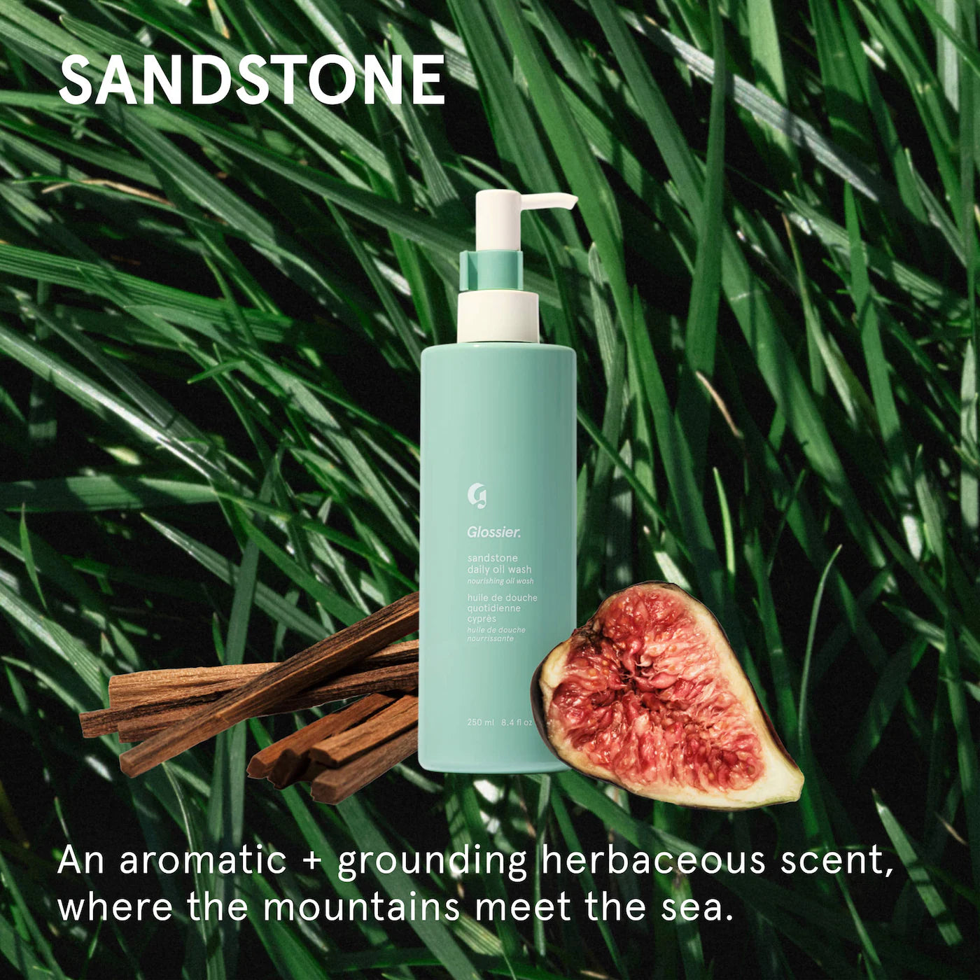 Pre-orden: Glossier | Nourishing Daily Oil Wash