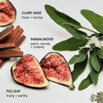 Pre-orden: Glossier | Nourishing Daily Oil Wash