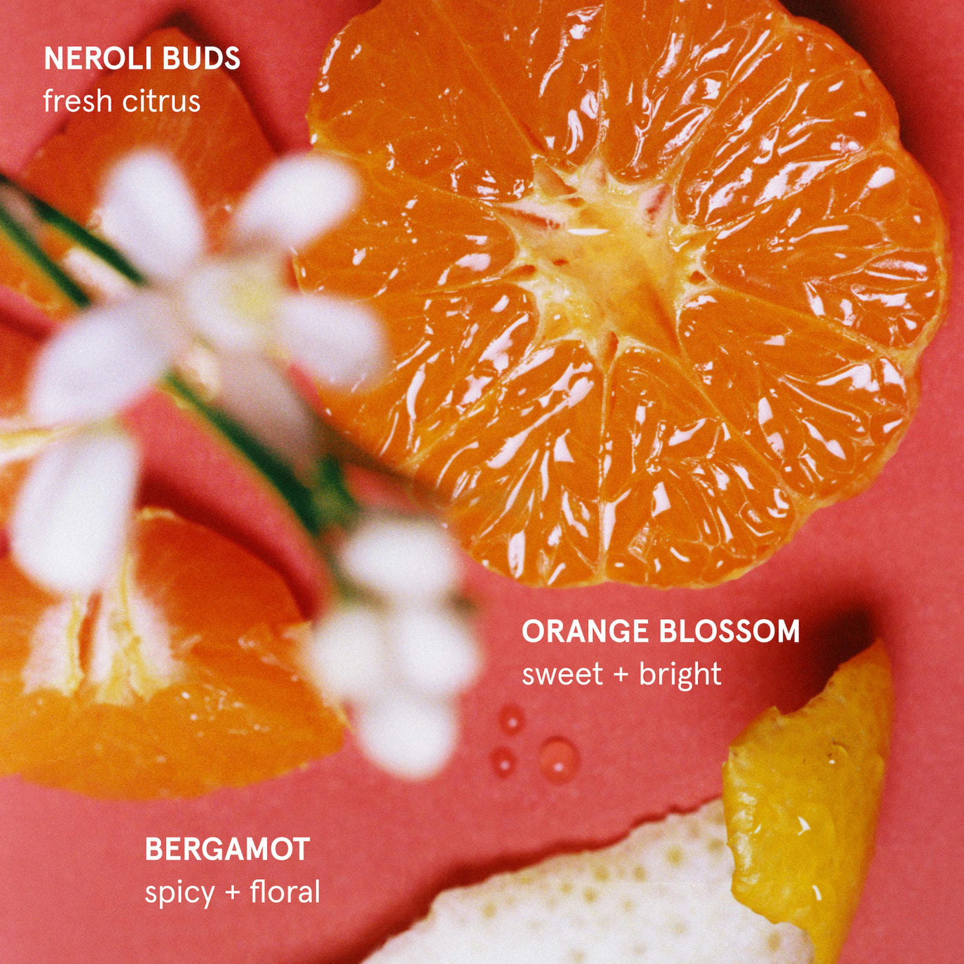 Pre-order: Glossier | Body Hero Dry Touch Nourishing Oil Mist