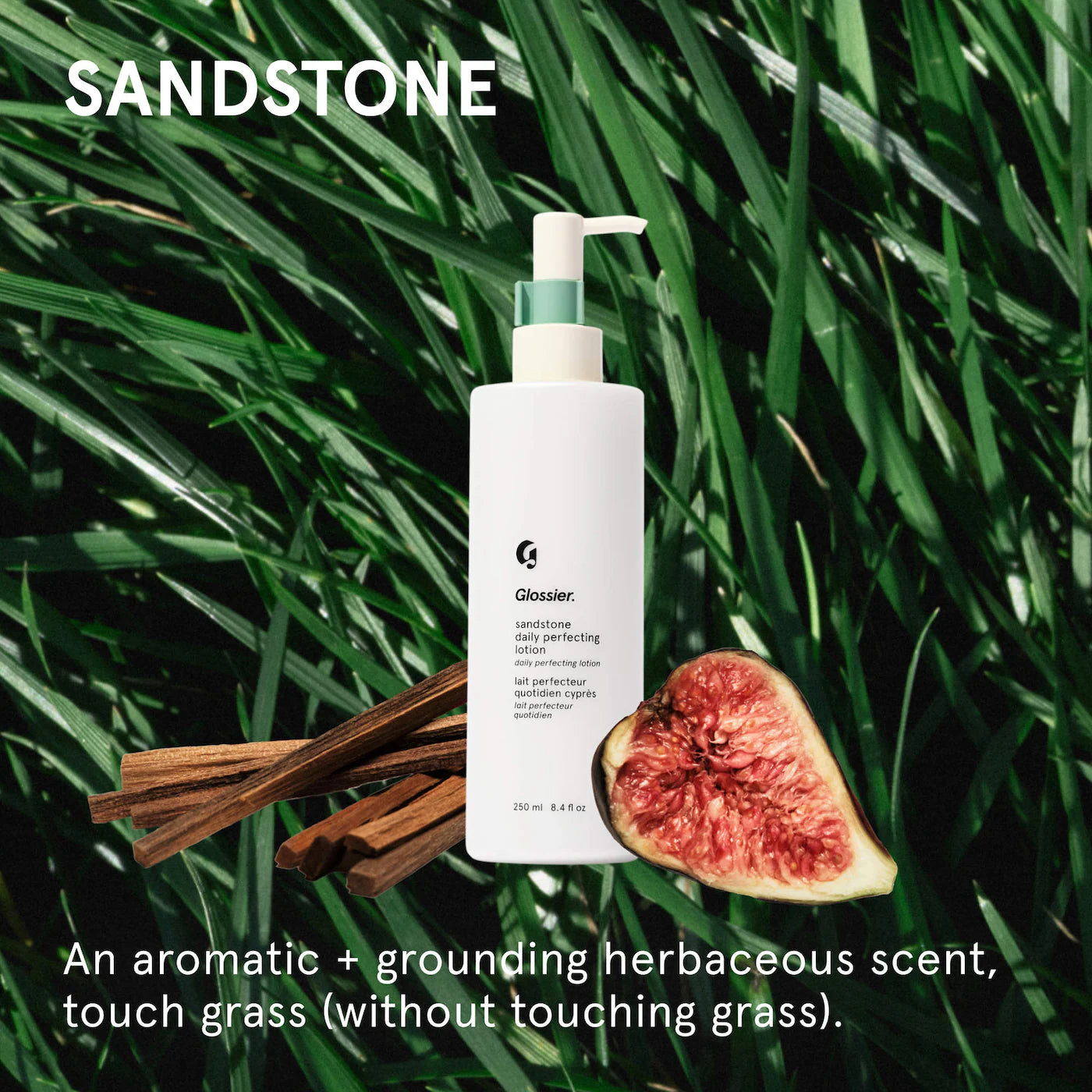 Pre-orden: Glossier | Daily Perfecting Nourishing Lotion