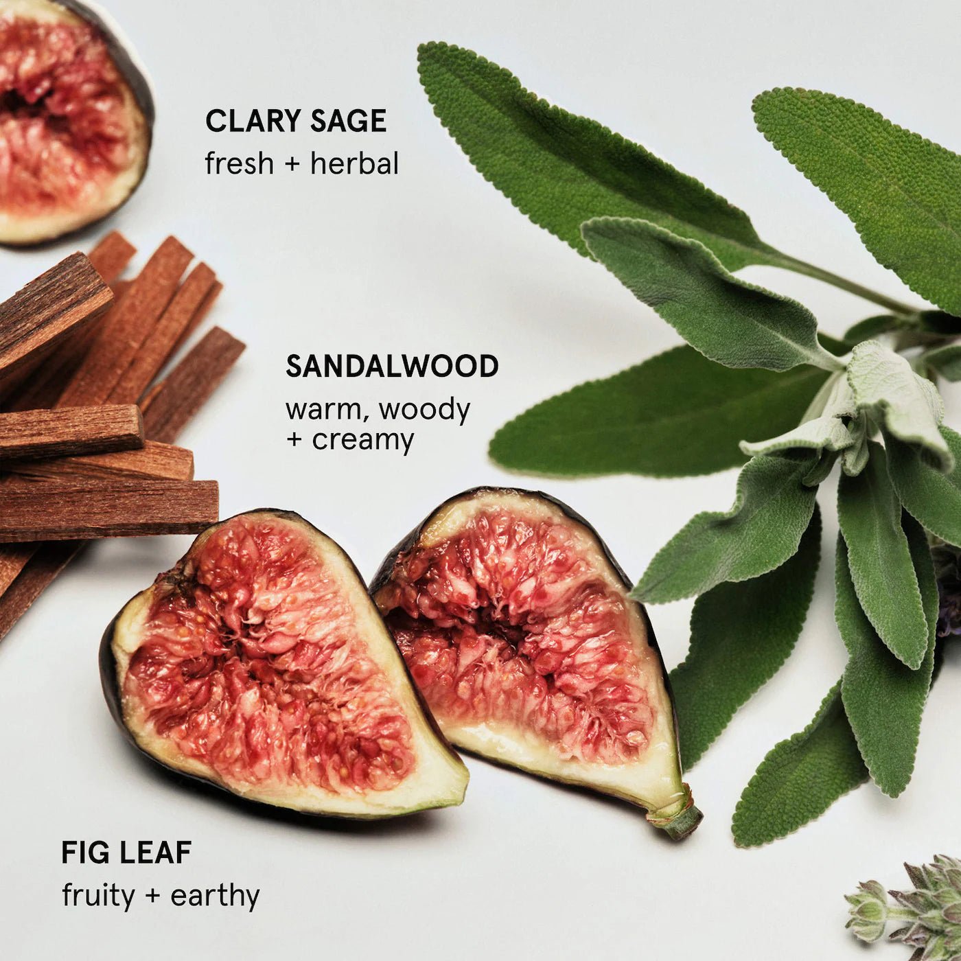 Pre-orden: Glossier | Daily Perfecting Nourishing Lotion