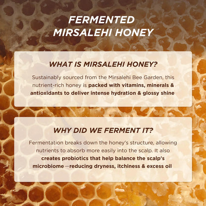 Pre-order: Gisou | Honey Gloss Ceramide Therapy Hydrating Conditioner