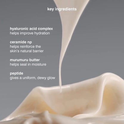 Pre-orden: rhode | Barrier Butter Intensive Moisture Balm
