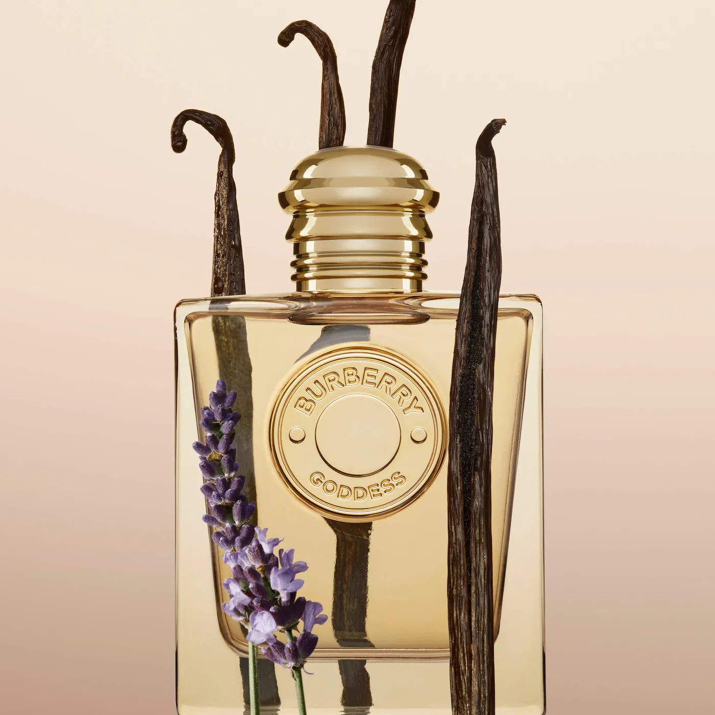 Pre-orden: BURBERRY | Mini Goddess & Her Perfume Sampler Set