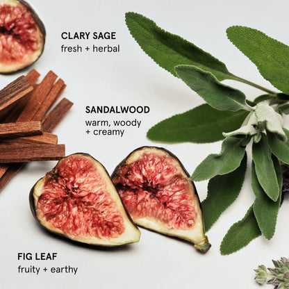 Pre-orden: Glossier | Hand Cream