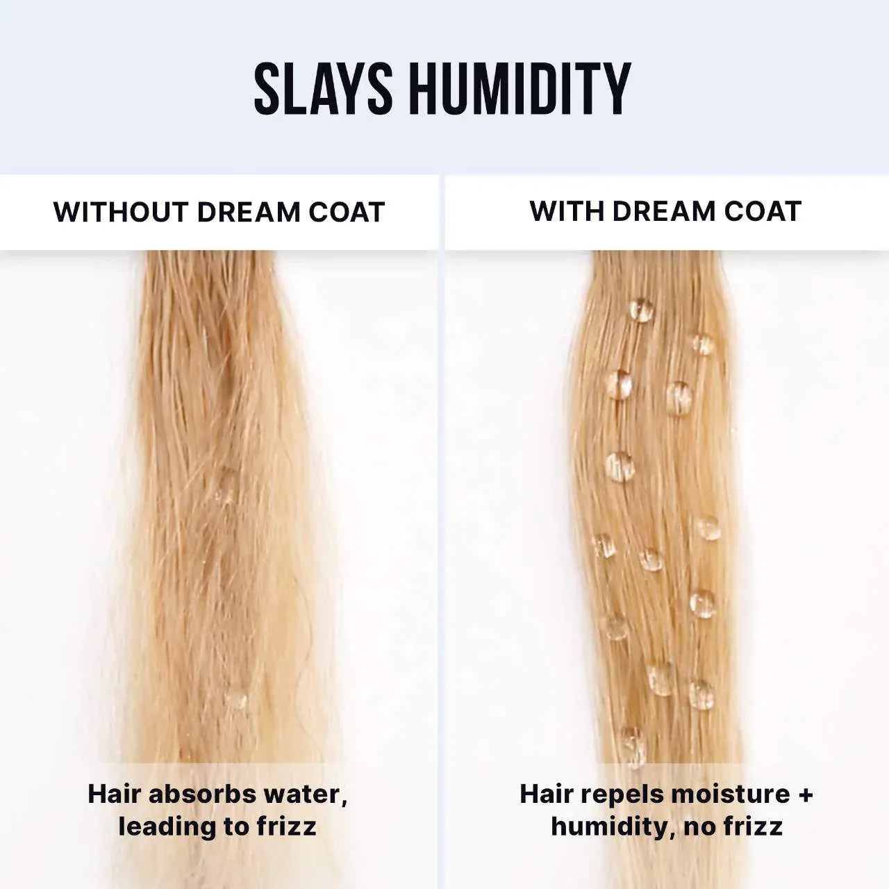 Pre-orden: COLOR WOW | Dream Coat Iconic Frizz Fighters Hair Duo Gift Set