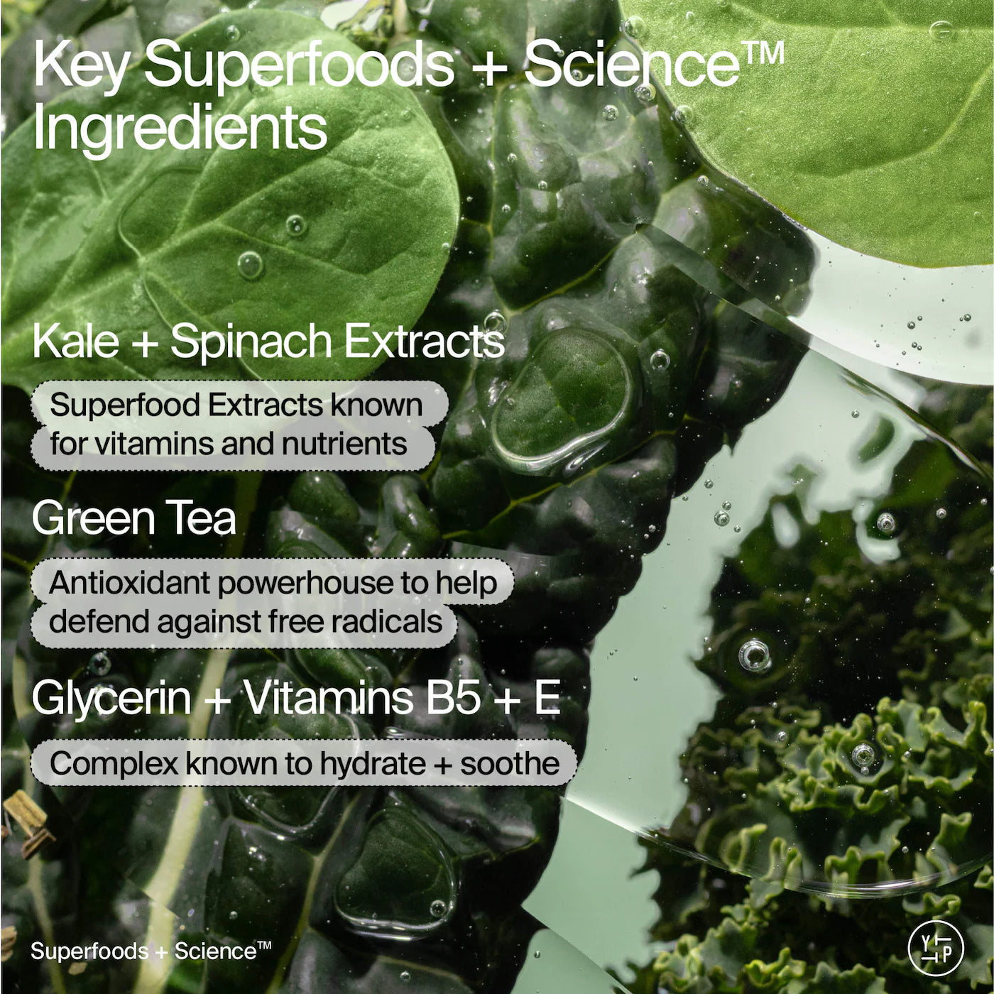 Pre-orden: Youth To The People | The Headliners Superfood Antioxidant Cleanser Skincare Set