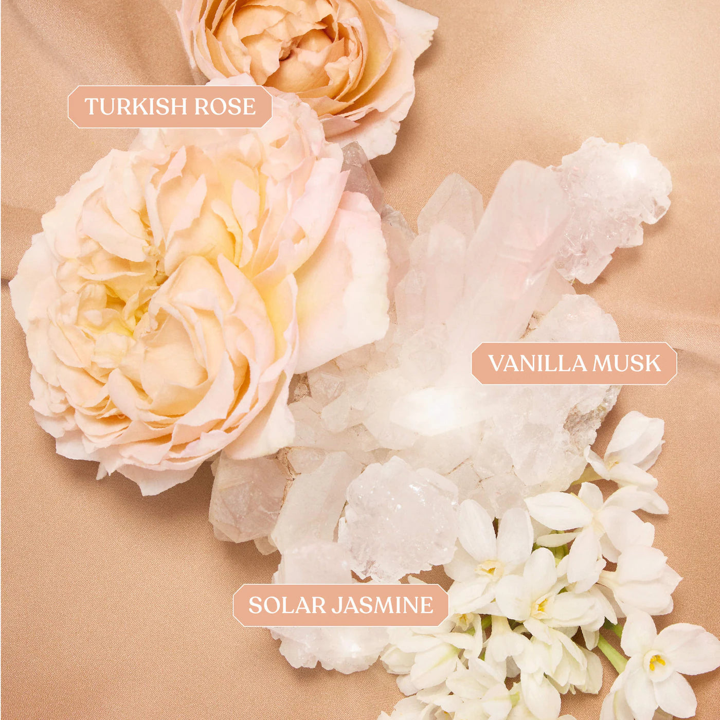 KAYALI | Musk Obsessions Mini Perfume Set (Mini Set de Perfumes con Notas de Almizcle) | Pre-orden