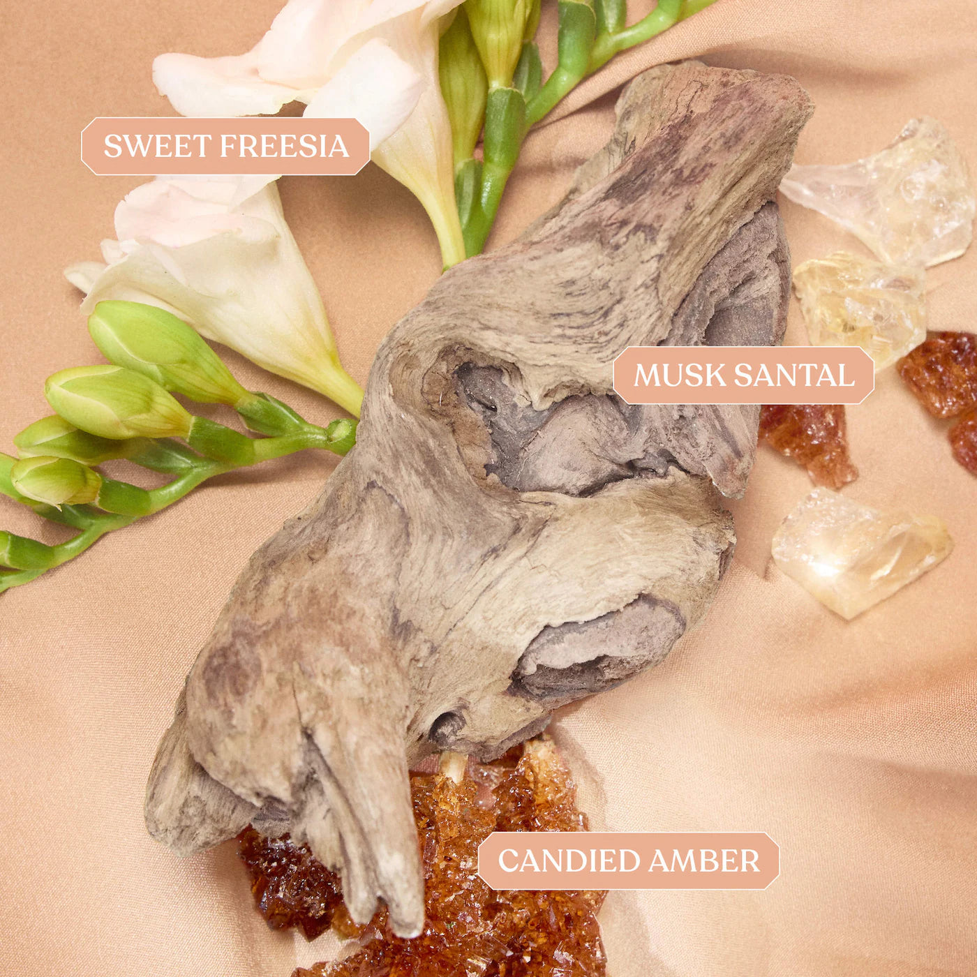 KAYALI | Musk Obsessions Mini Perfume Set (Mini Set de Perfumes con Notas de Almizcle) | Pre-orden