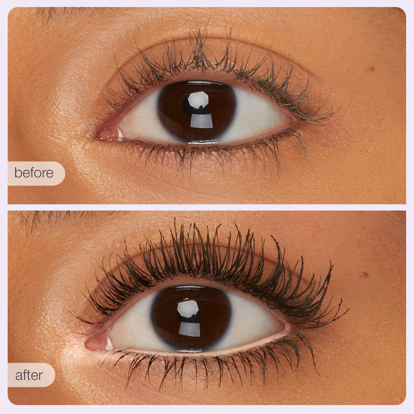 Pre-orden: tarte | tartelette™ tubing must-haves vault