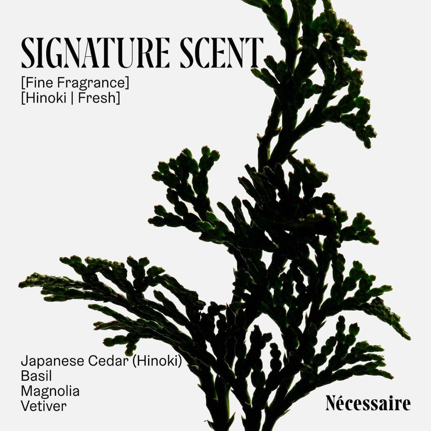 Pre-orden: Nécessaire | The Body Wash Discovery Collection