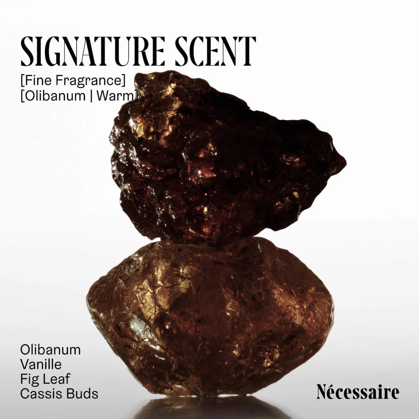 Pre-orden: Nécessaire | The Body Wash Discovery Collection