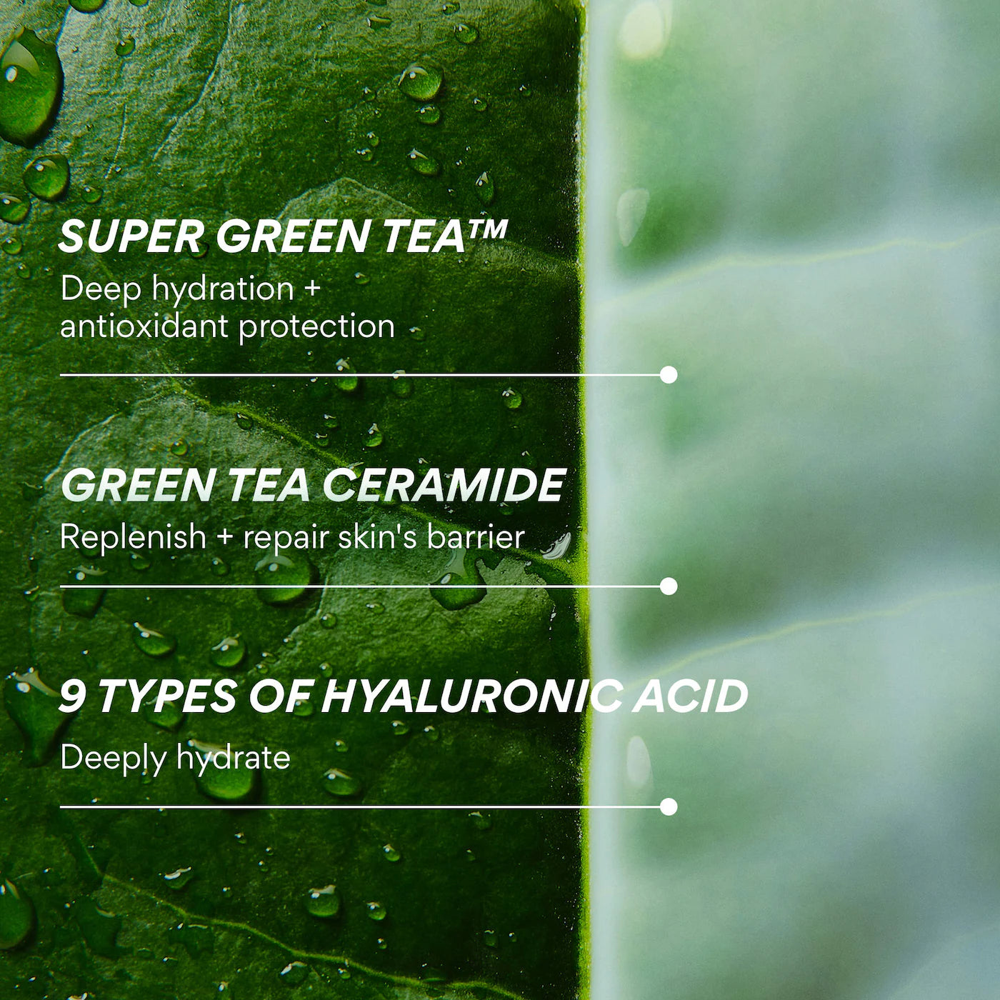 innisfree | Green Tea Ceramide Milk Toner for Hydration & Barrier Repair | Pre-orden