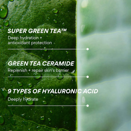 innisfree | Green Tea Ceramide Milk Toner for Hydration & Barrier Repair | Pre-orden
