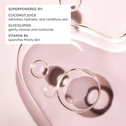 Evereden | Cloud Face Wash (Limpiador Facial Cloud de Uso Diario con Textura Suave) | Pre-orden