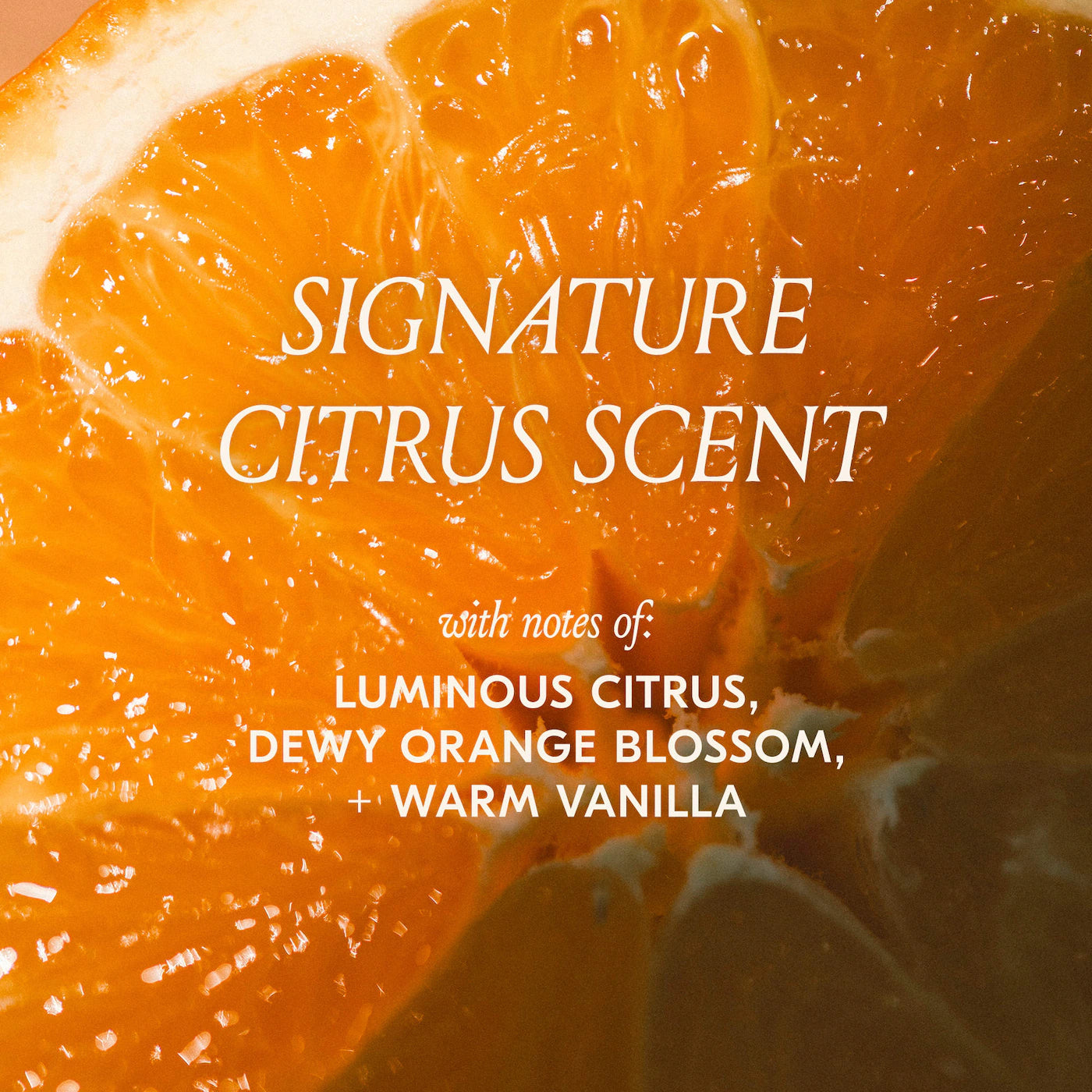 dae | Charmed by the Desert Hair Styling Trio (Trío de Styling para el Cabello) | Pre-orden