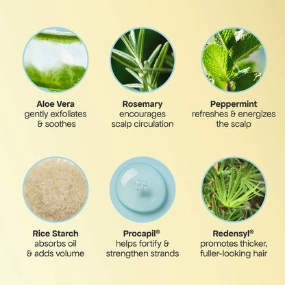 BondiBoost | Bondi Besties Minis Hair Gift Set for Hair Thinning (Minis Set Capilar para Cabello Delgado y con Caída) | Pre-orden