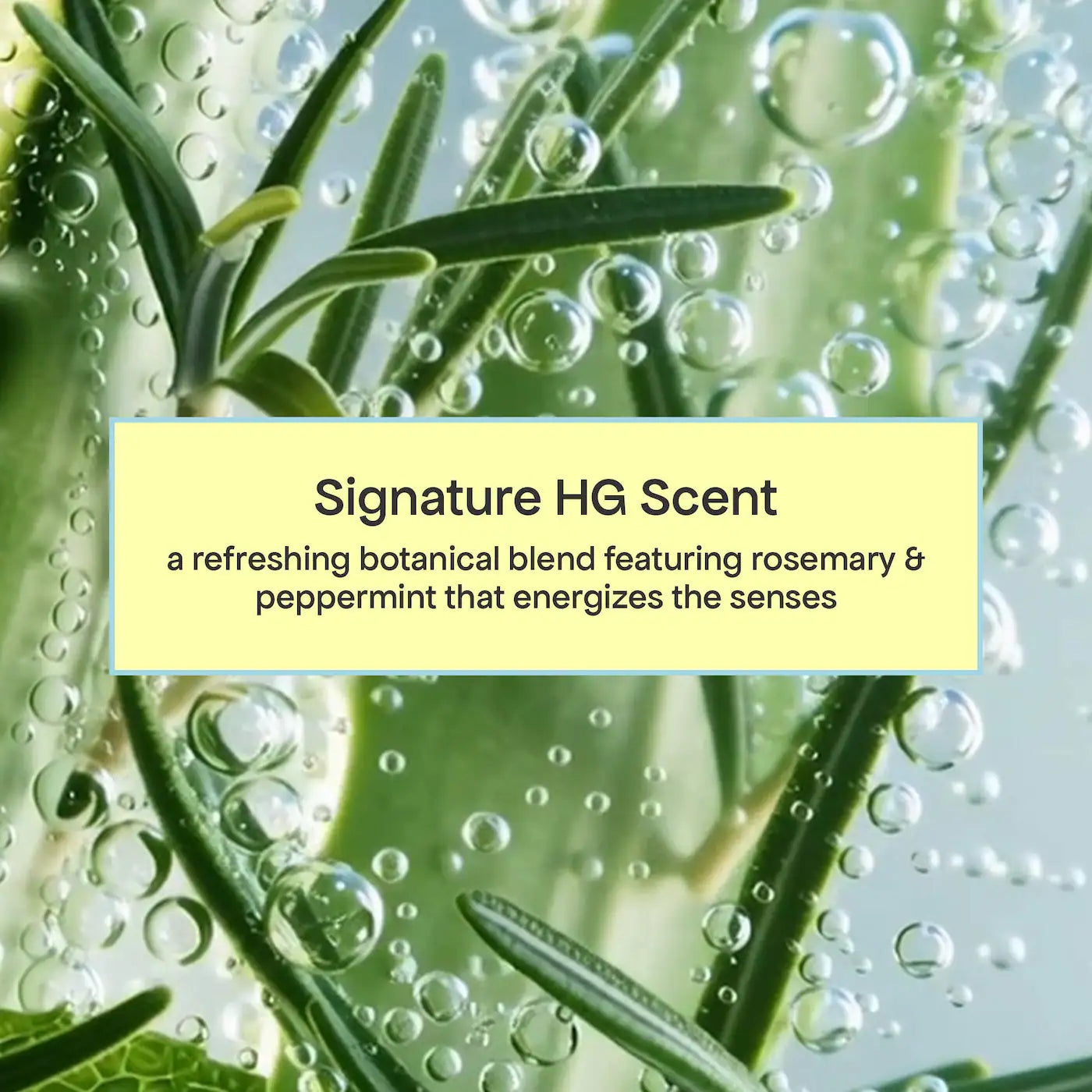 BondiBoost | Bondi Besties Minis Hair Gift Set for Hair Thinning (Minis Set Capilar para Cabello Delgado y con Caída) | Pre-orden