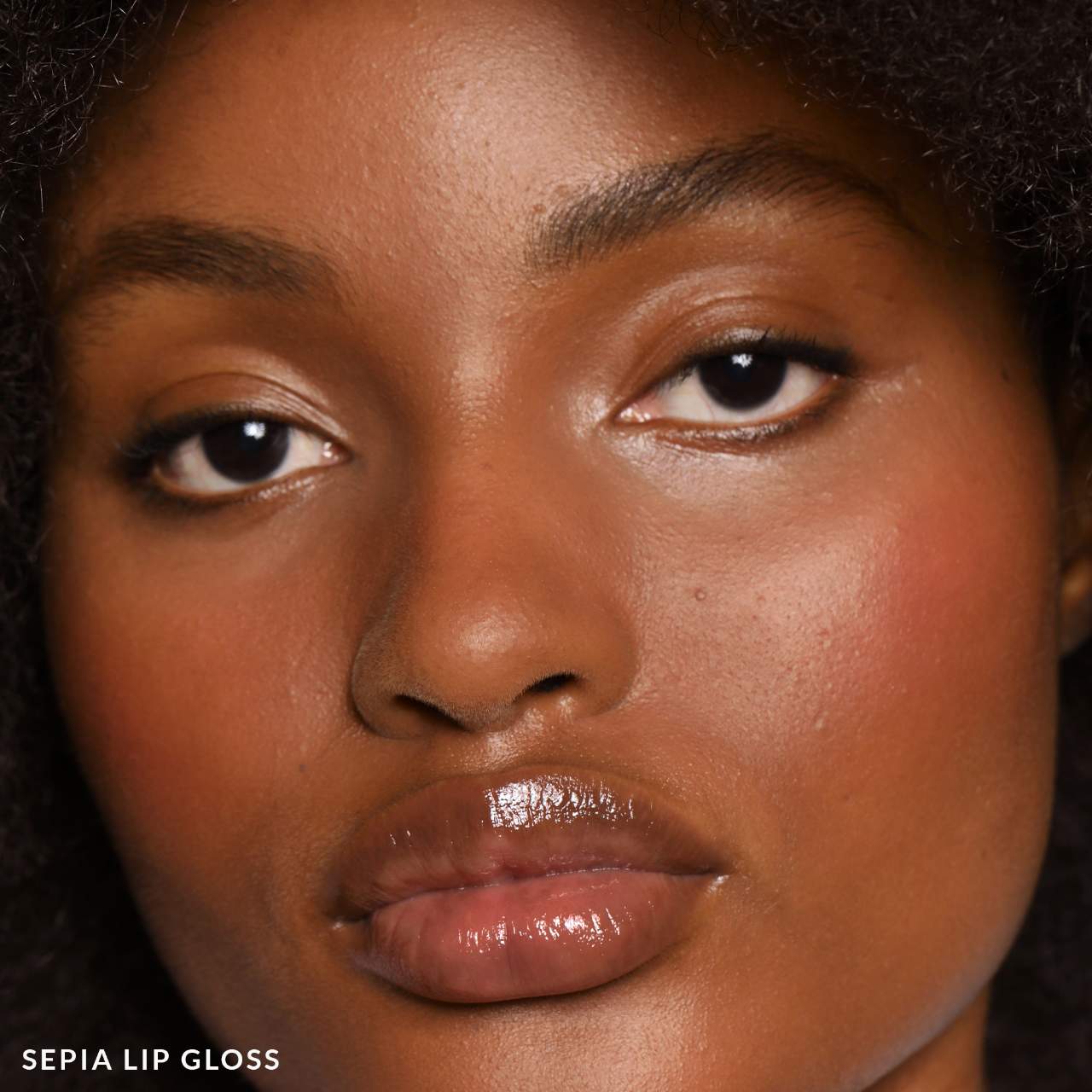 Sepia - dark chestnut brown