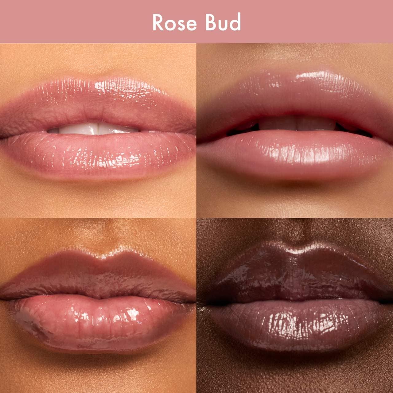 Rose Bud - a nourishing touch of sheer cool pink